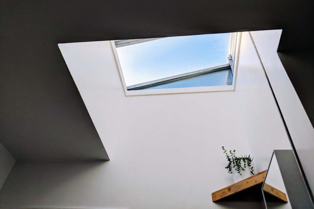 Finestra soffitto e scaffale con la pianta